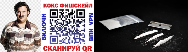 Cocaine Fish Scale Купить Новомичуринск
