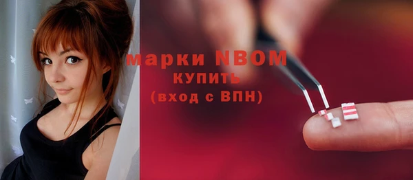 стаф Осташков