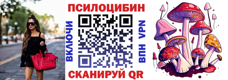 Псилоцибиновые грибы Magic Shrooms  Купить закладки  Новомичуринск 